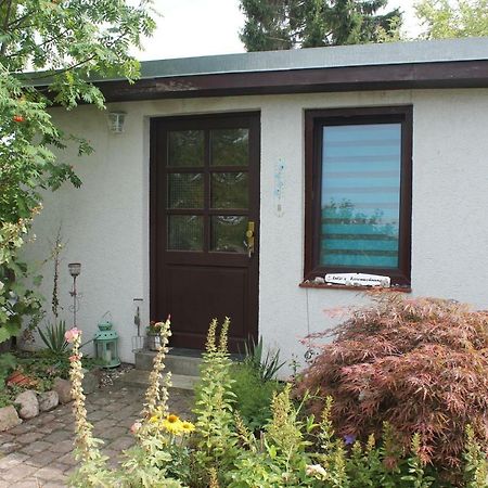 Lutzi'S Ferienwohnung Rostock Dış mekan fotoğraf